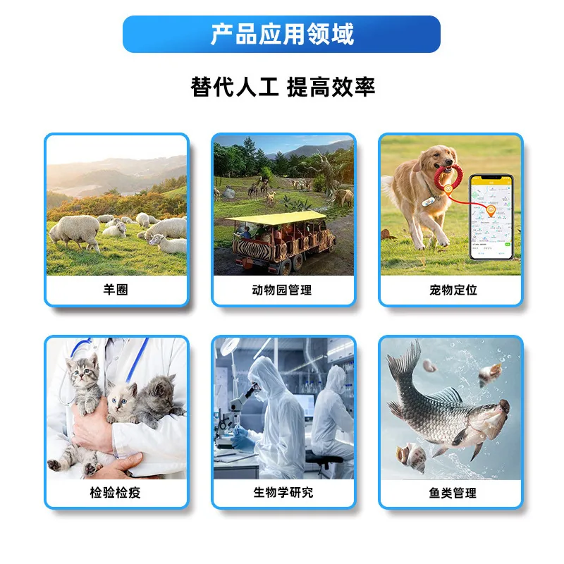 植入式宠物 RFID 玻璃管标签 — 产品参考图 4